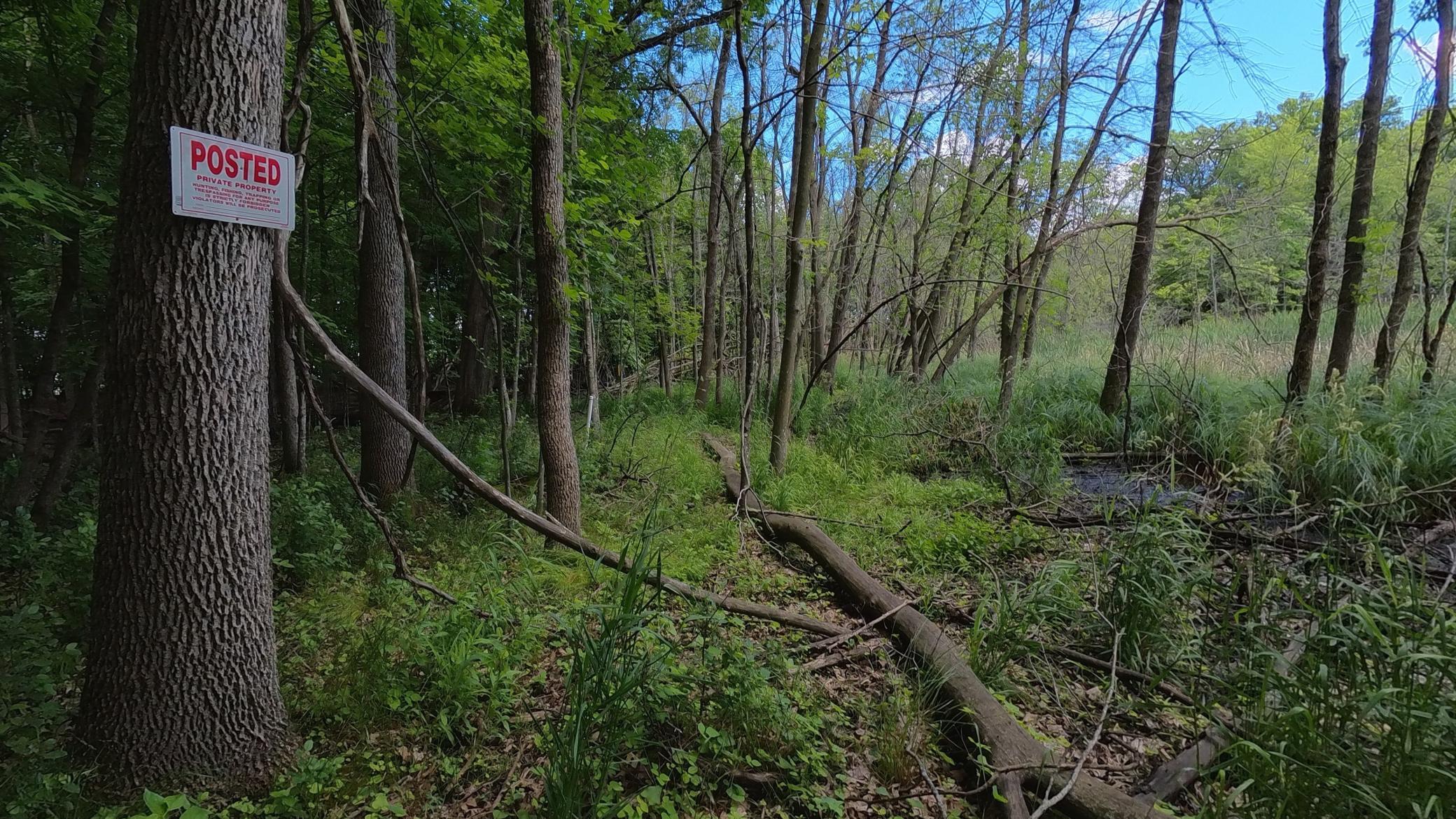 main property photo 31