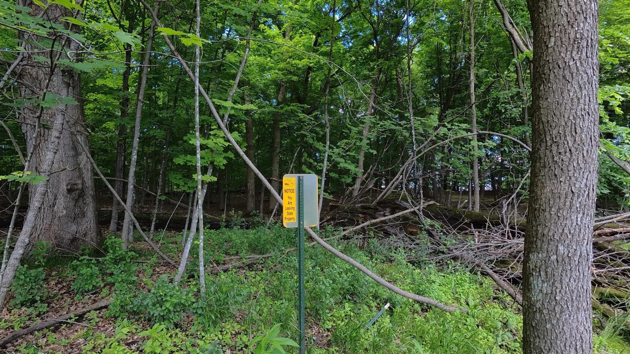 main property photo 33