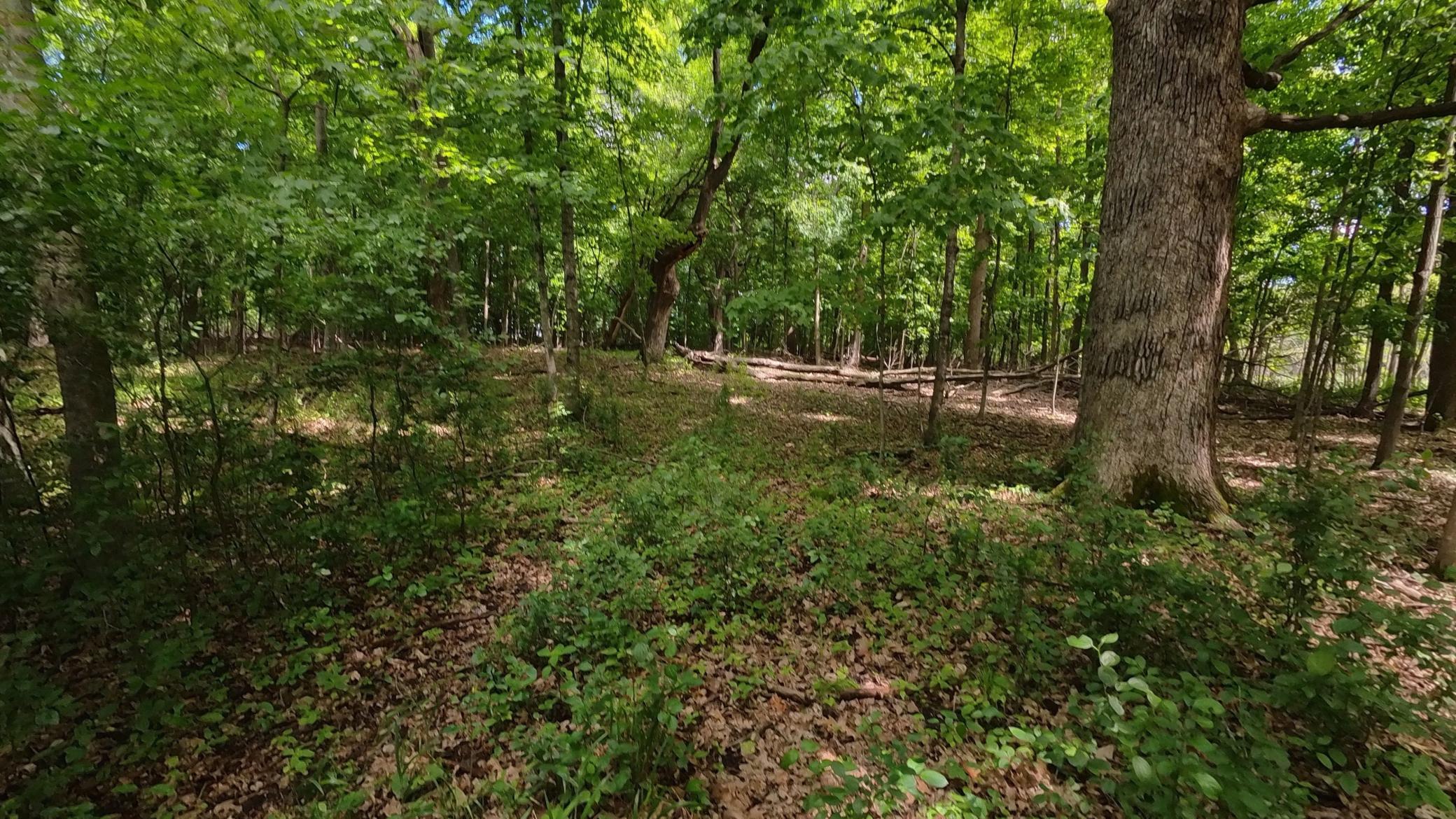 main property photo 45