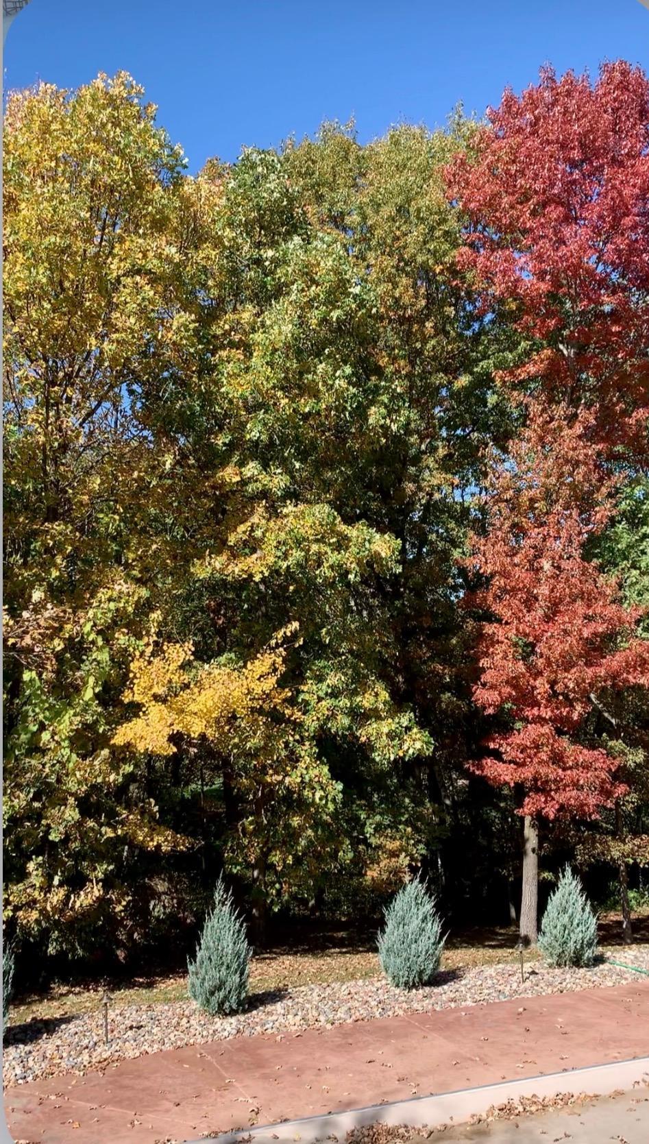 main property photo 92