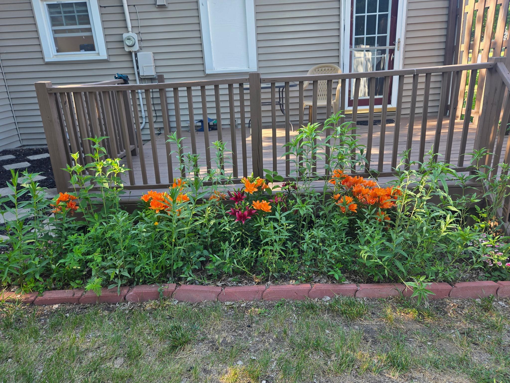main property photo 32