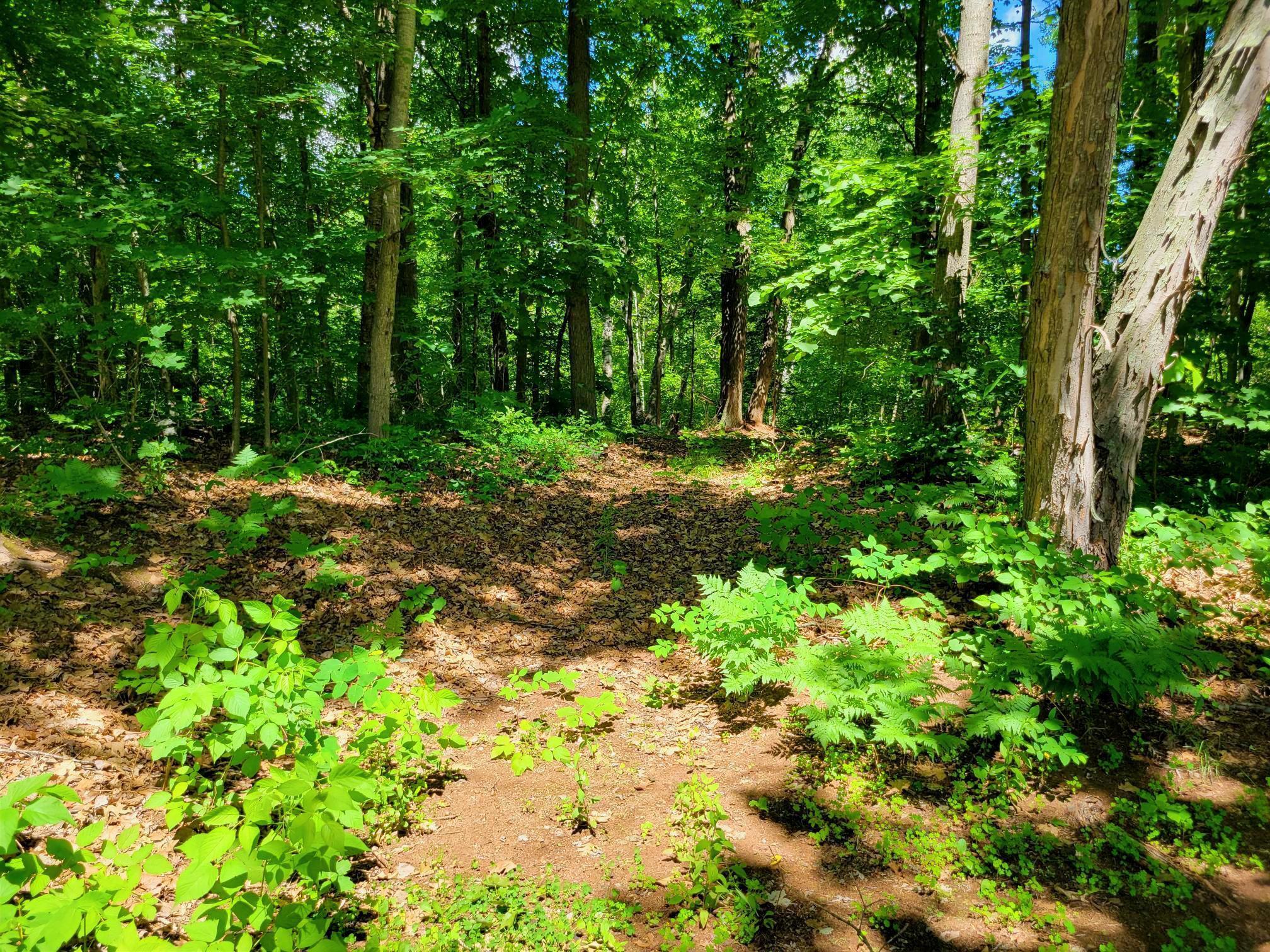 main property photo 21