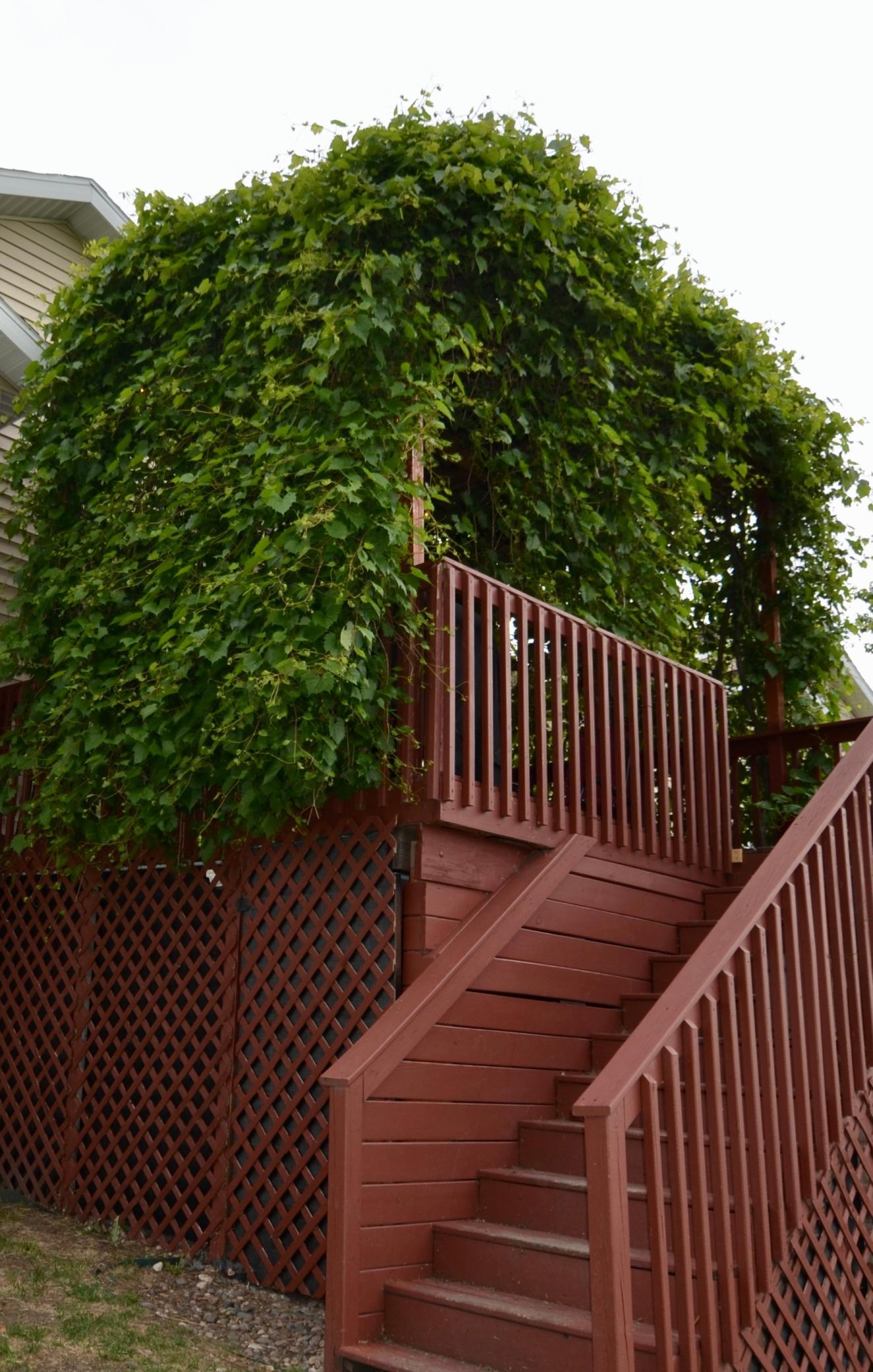 main property photo 15