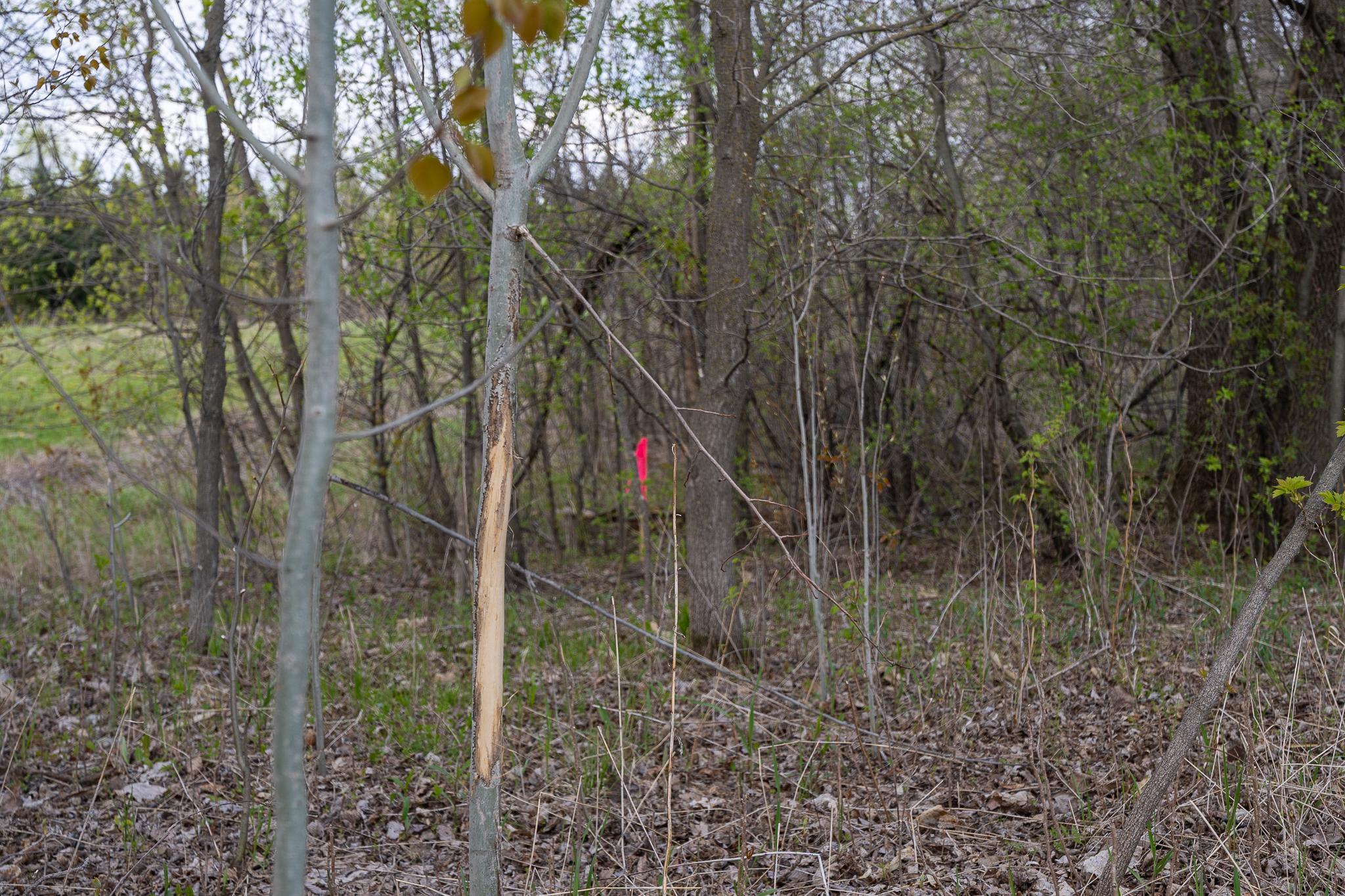 main property photo 12