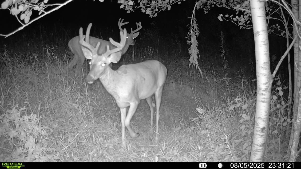 main property photo 17