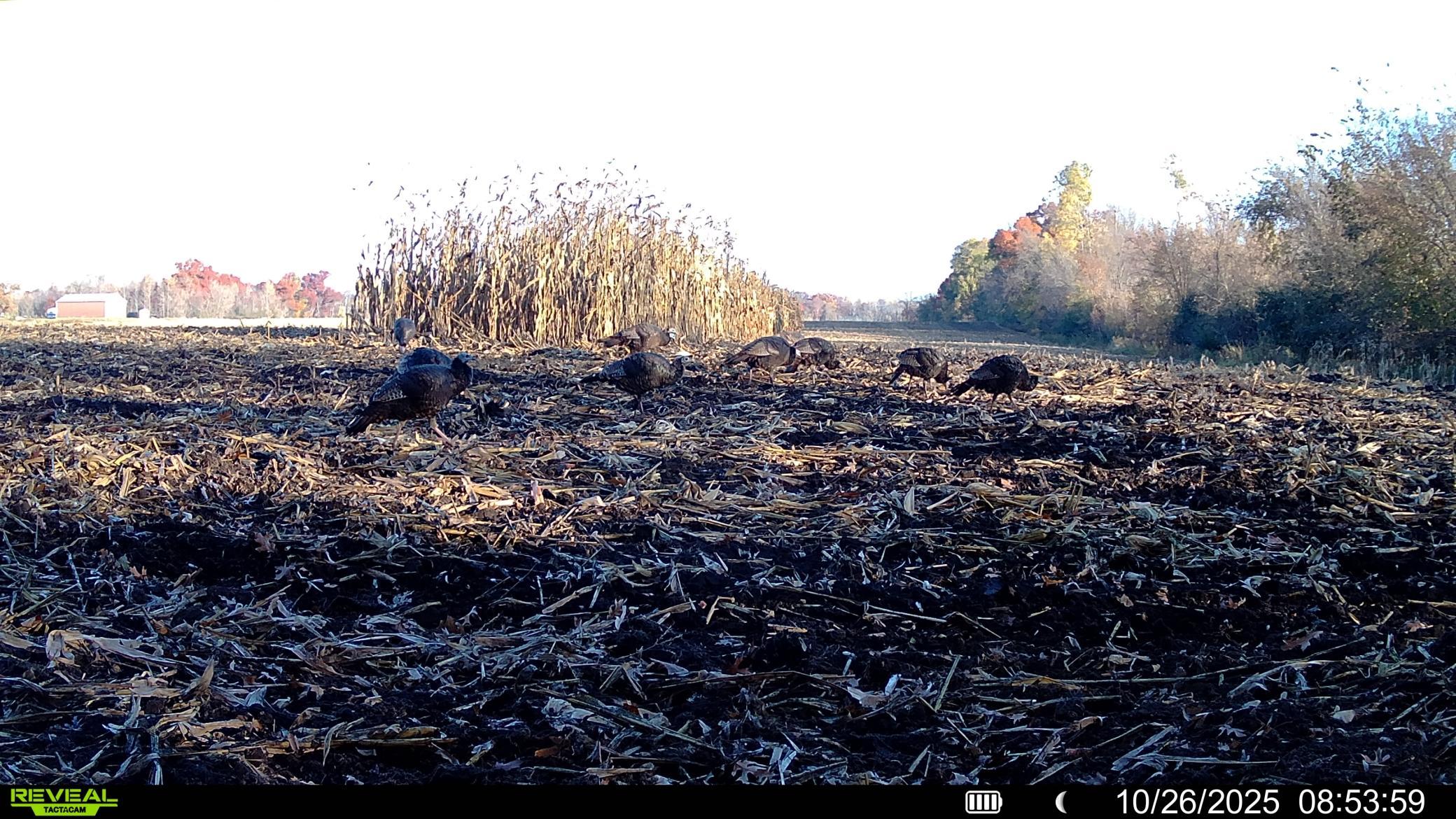 main property photo 27