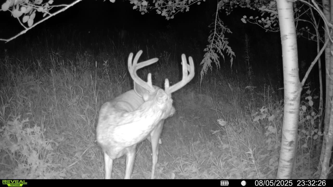 main property photo 8