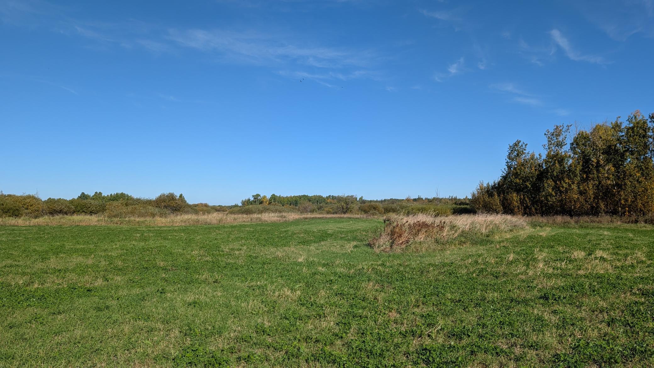 main property photo 11