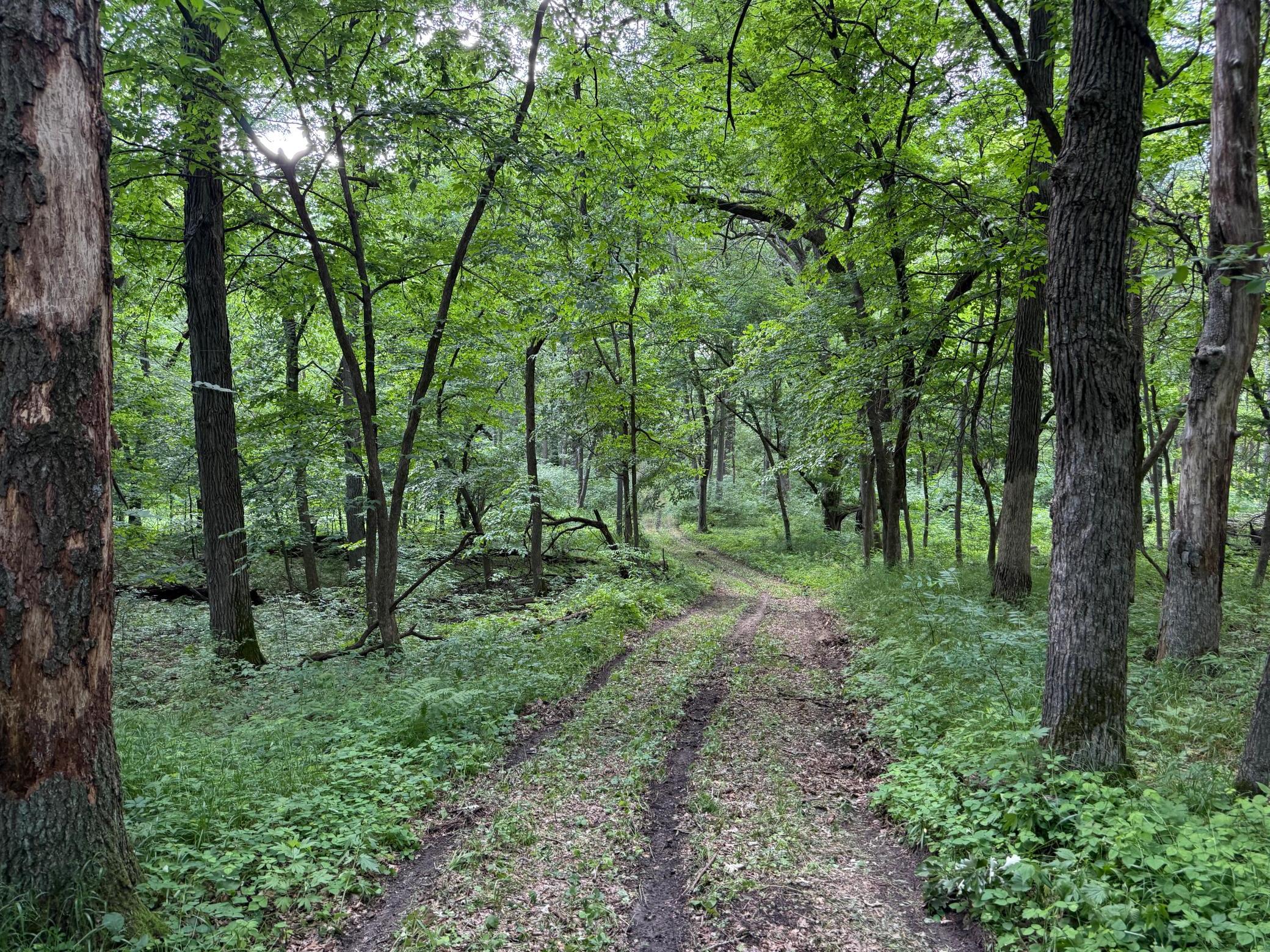 main property photo 11