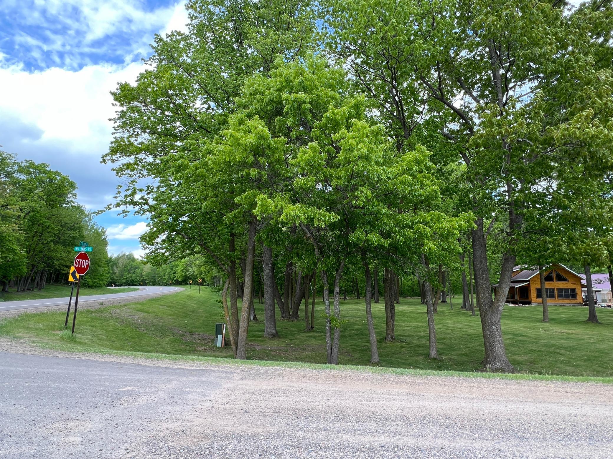 main property photo 40