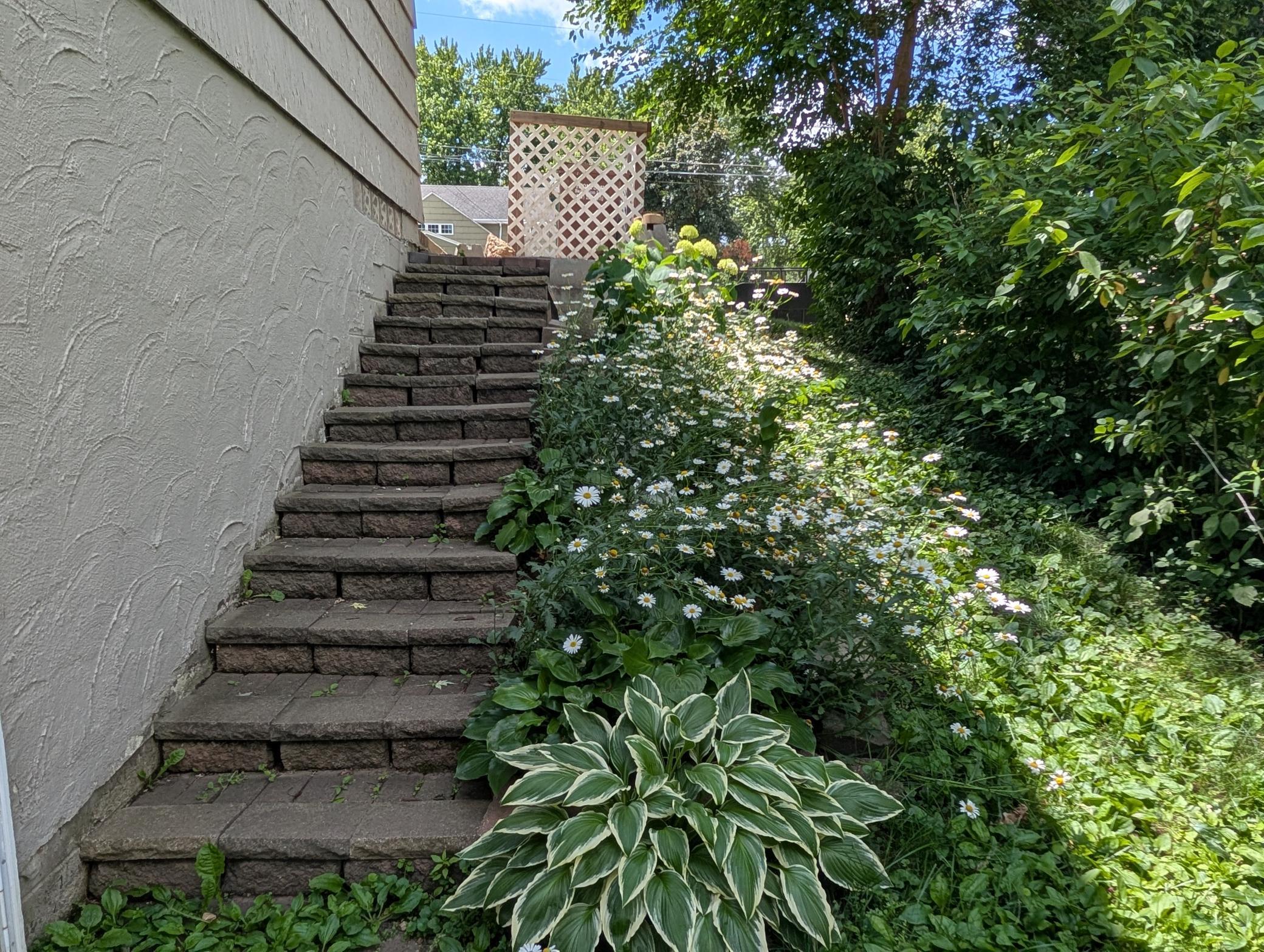 main property photo 56