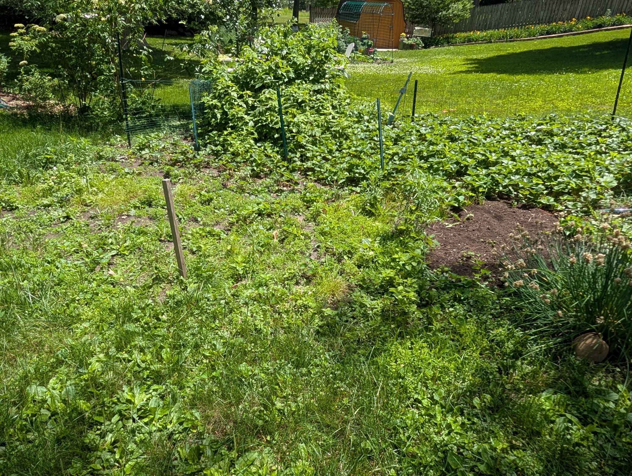 main property photo 57