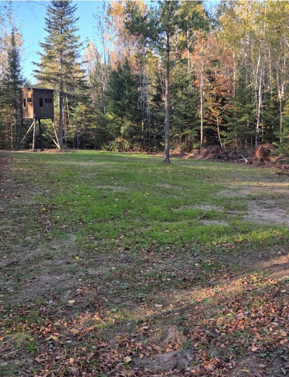 main property photo 53