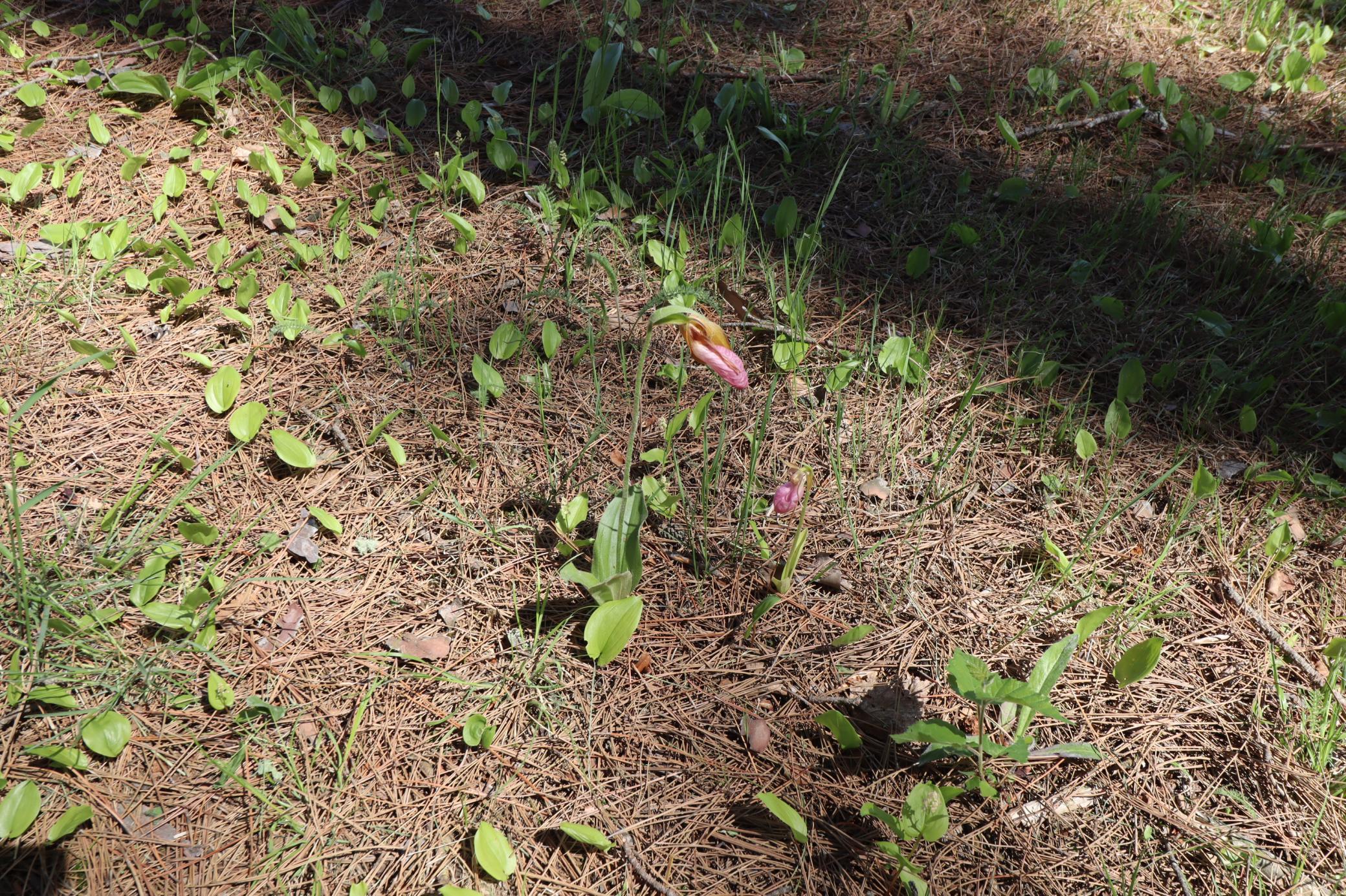 main property photo 59