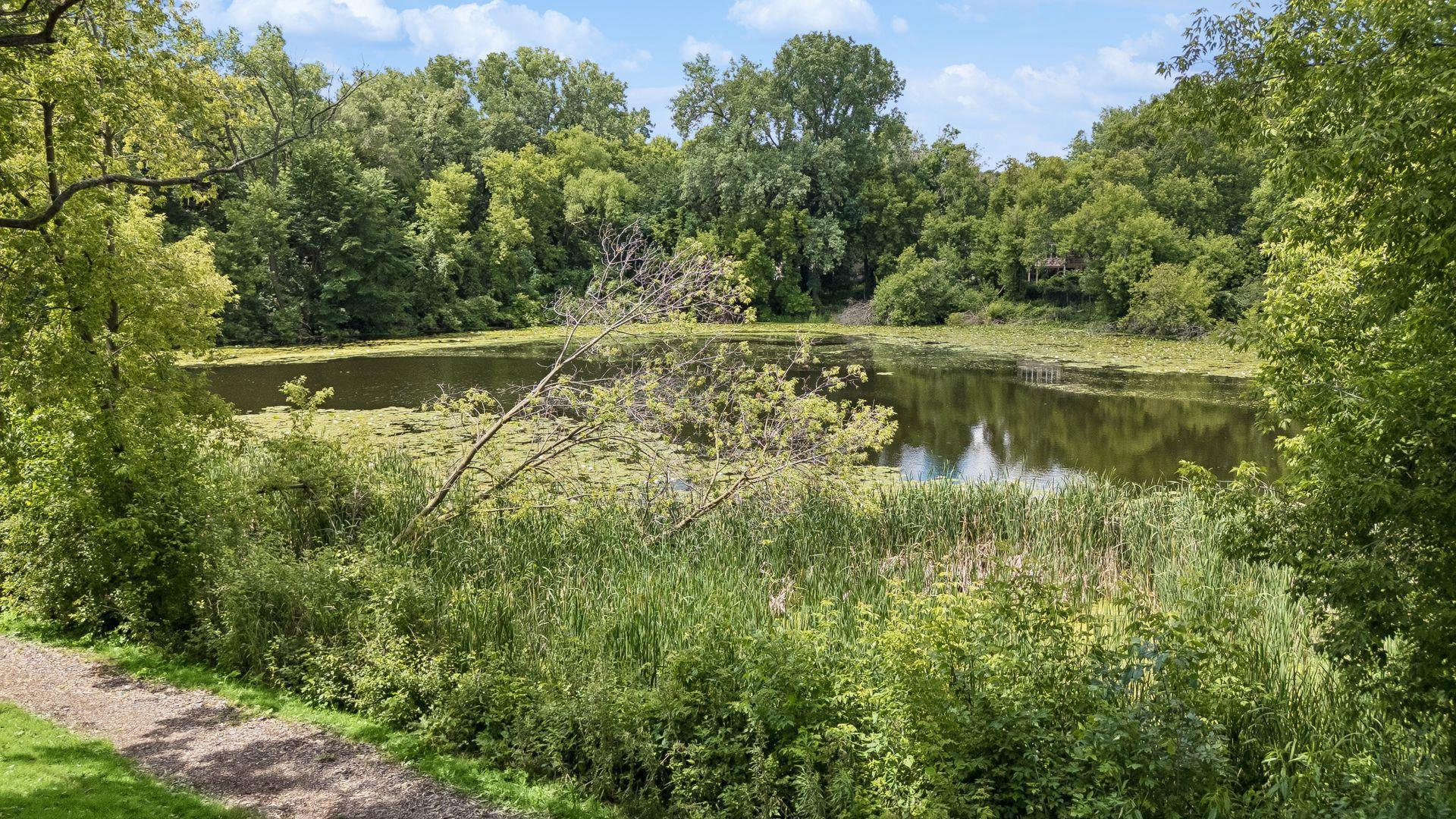 main property photo 69