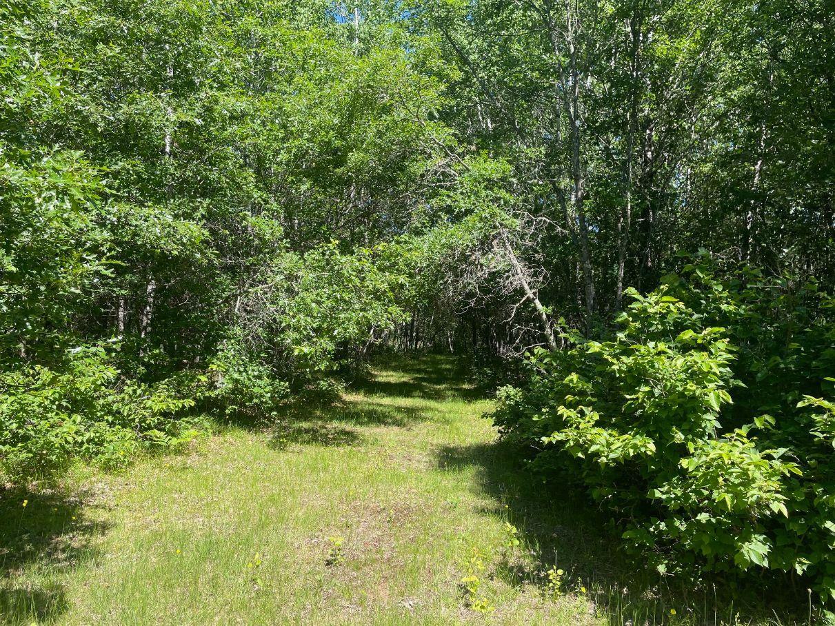 main property photo 44