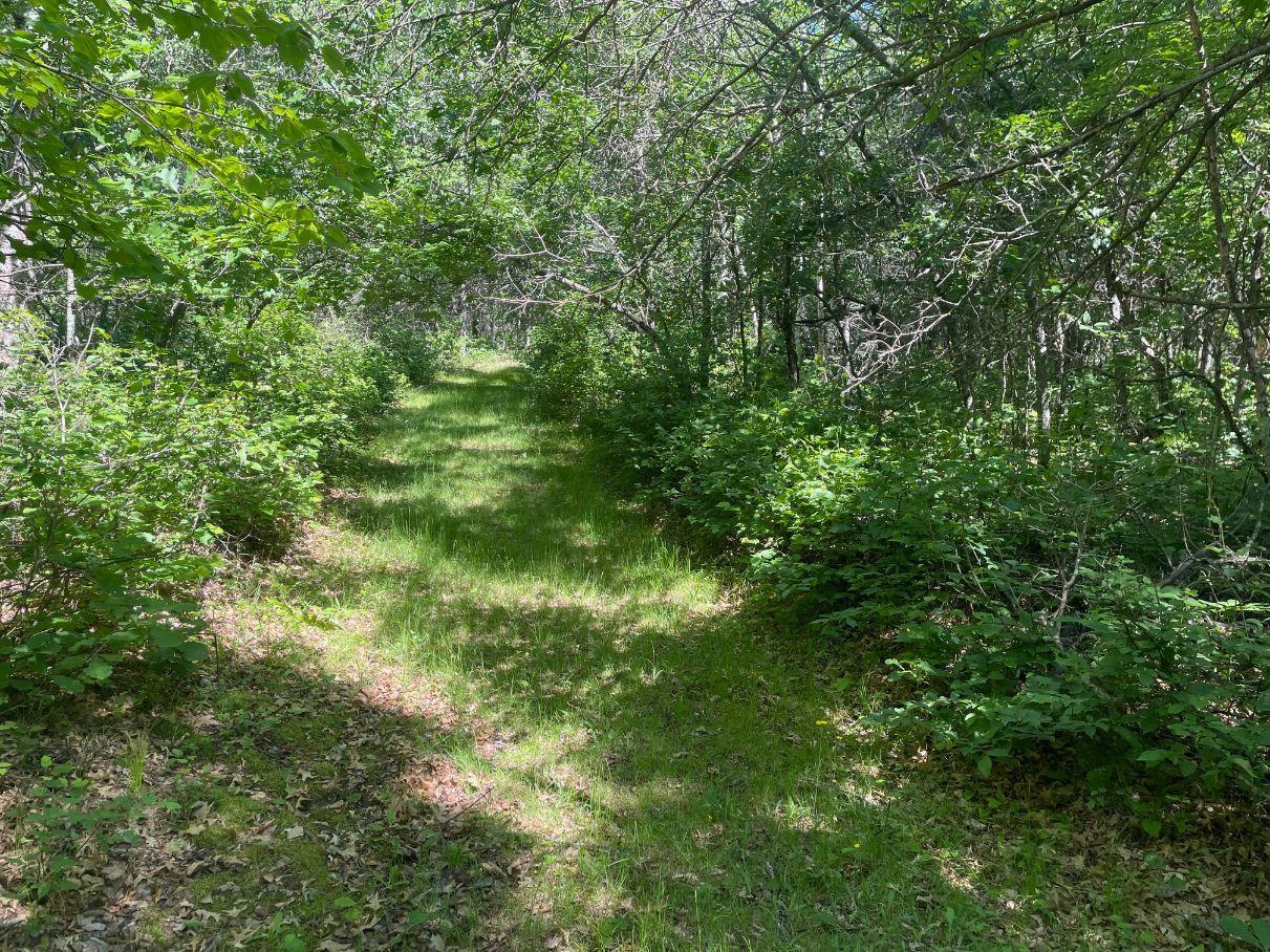 main property photo 45