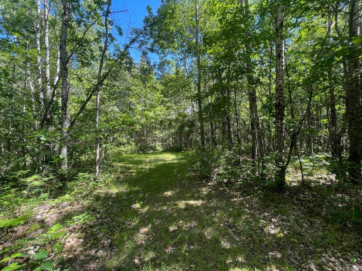 main property photo 46