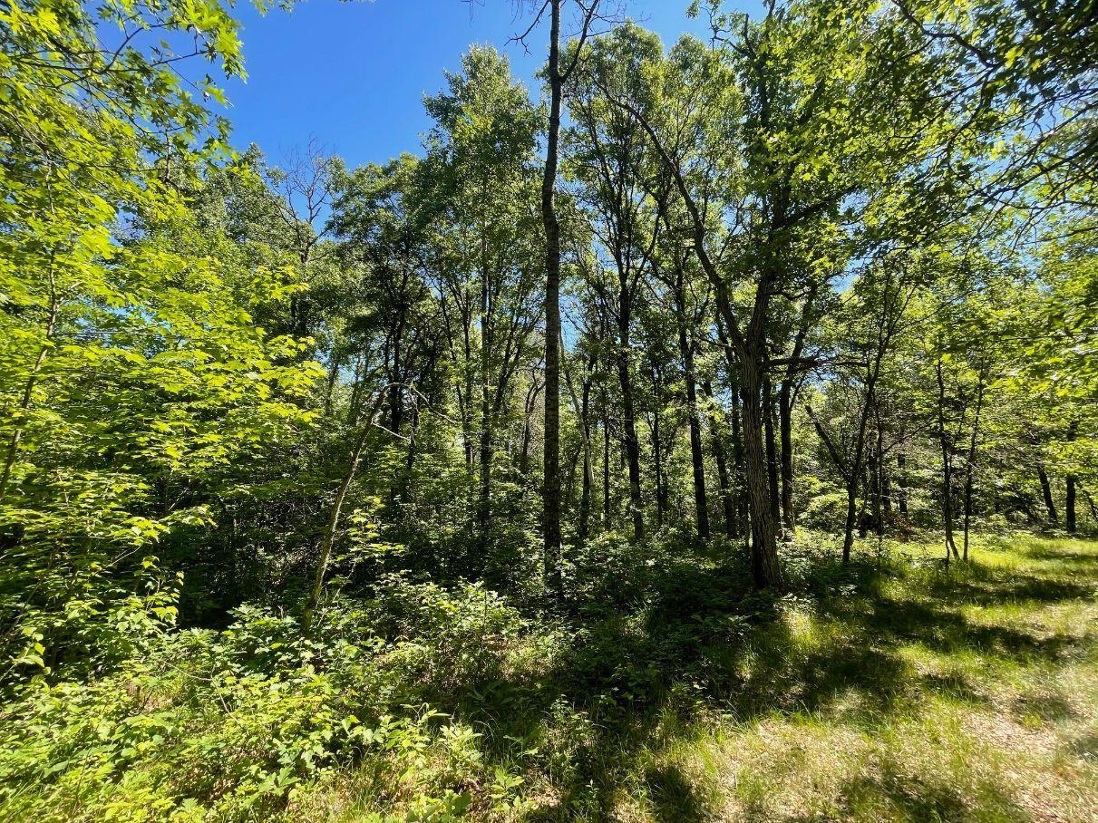 main property photo 48