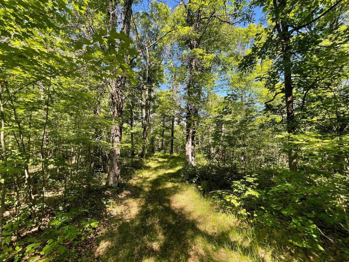 main property photo 49