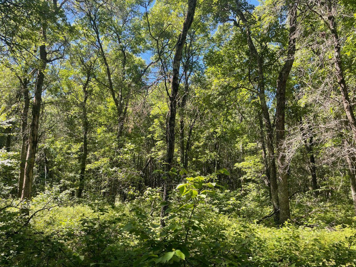 main property photo 51