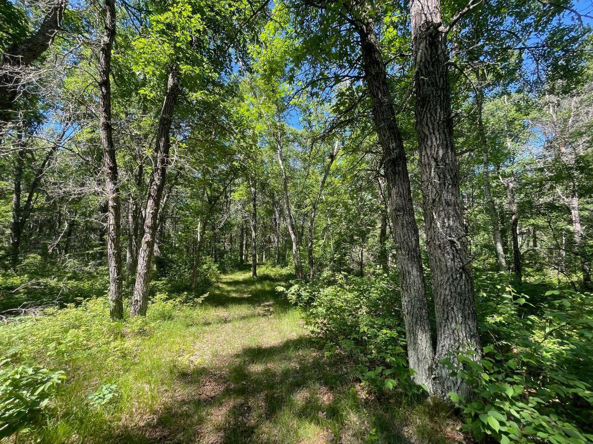 main property photo 53