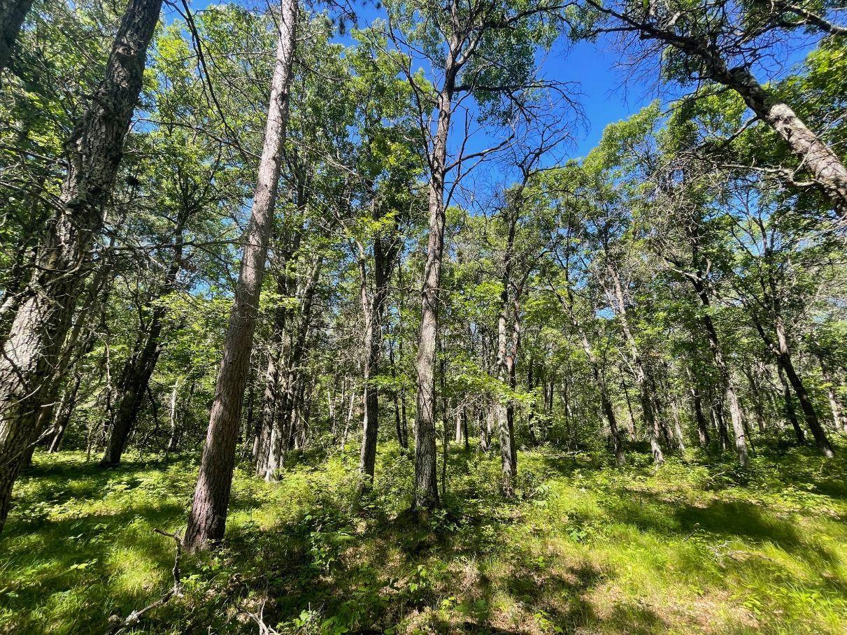 main property photo 54