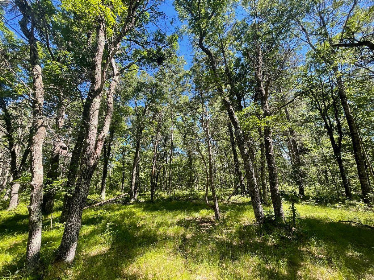 main property photo 56