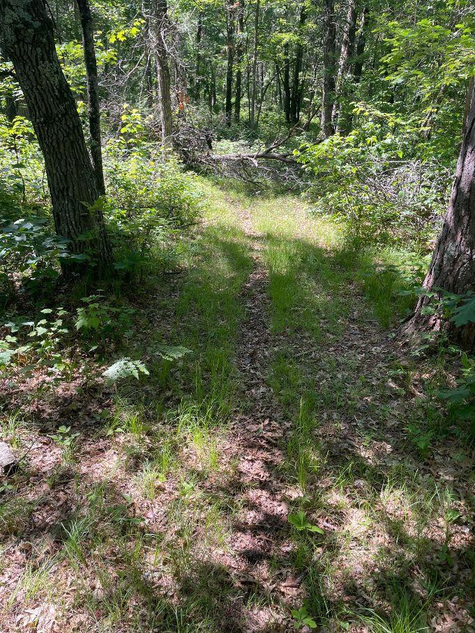 main property photo 57