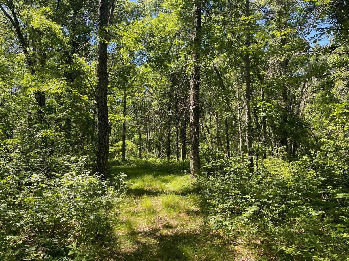 main property photo 58