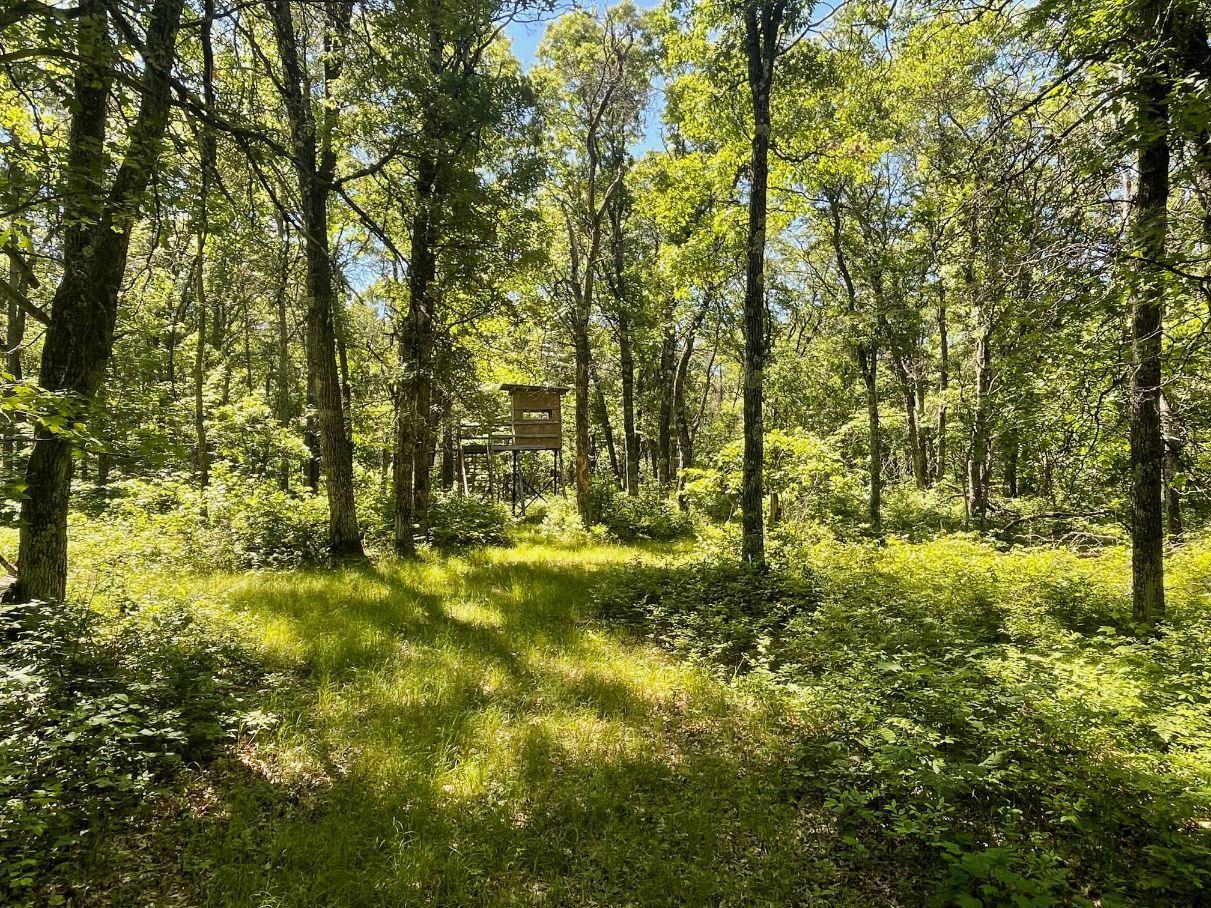 main property photo 59
