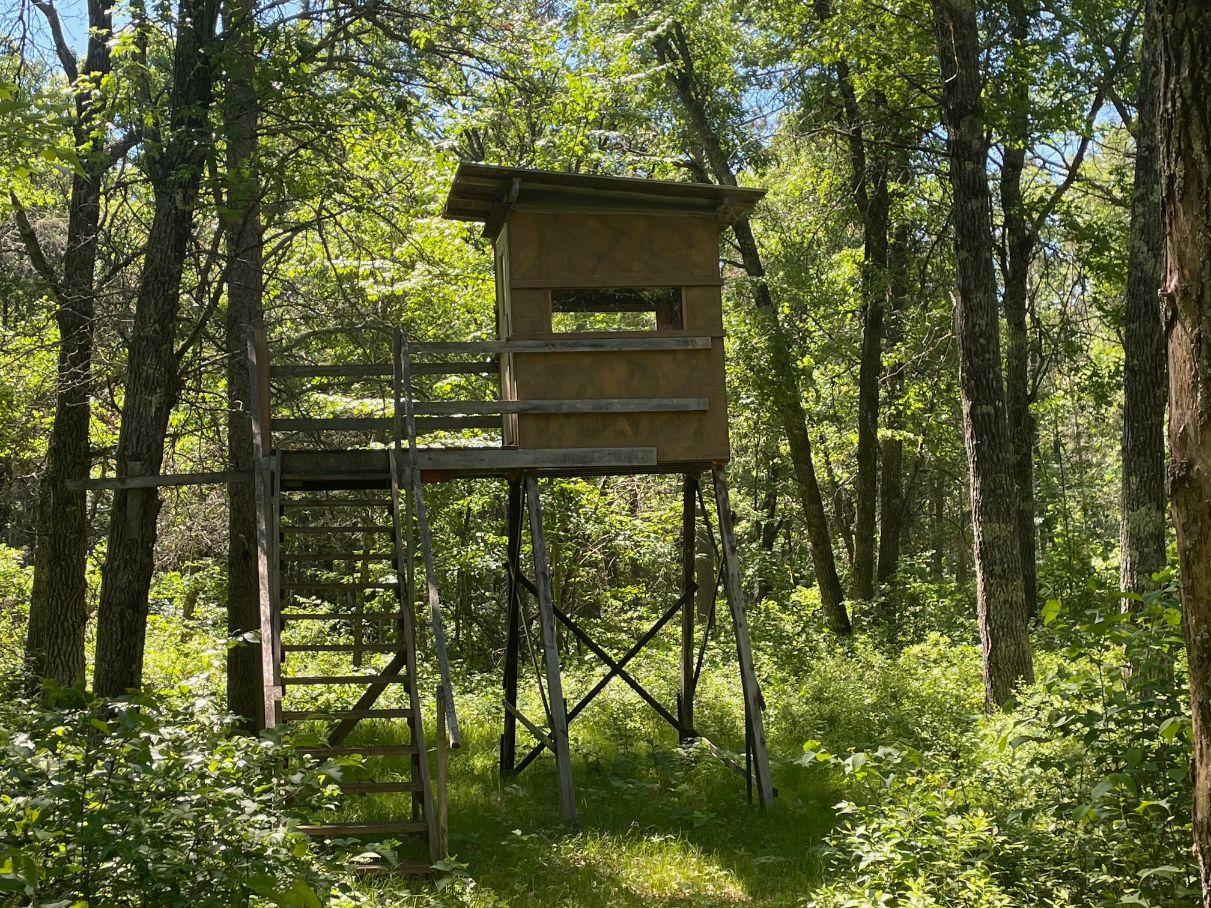 main property photo 60