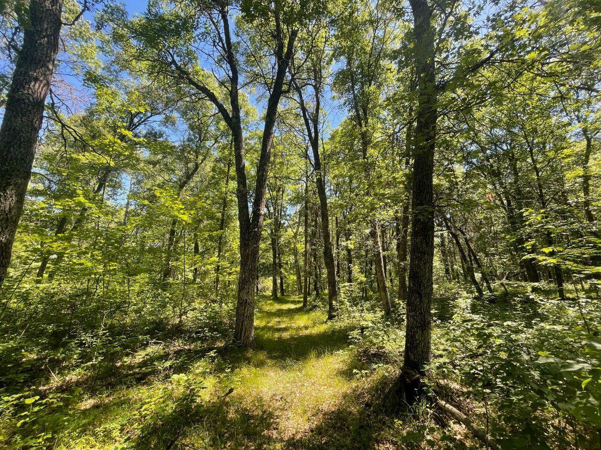 main property photo 61