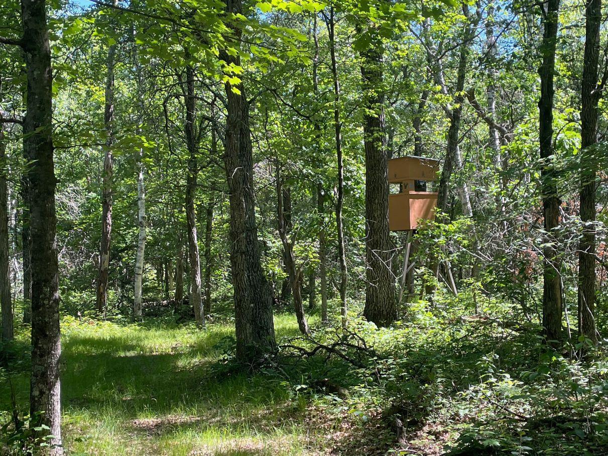main property photo 62