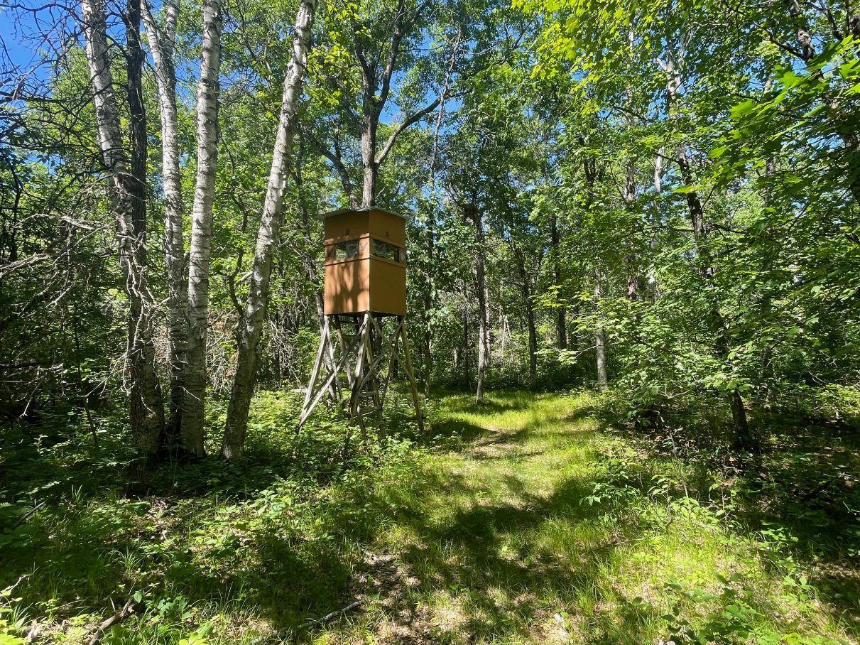 main property photo 64