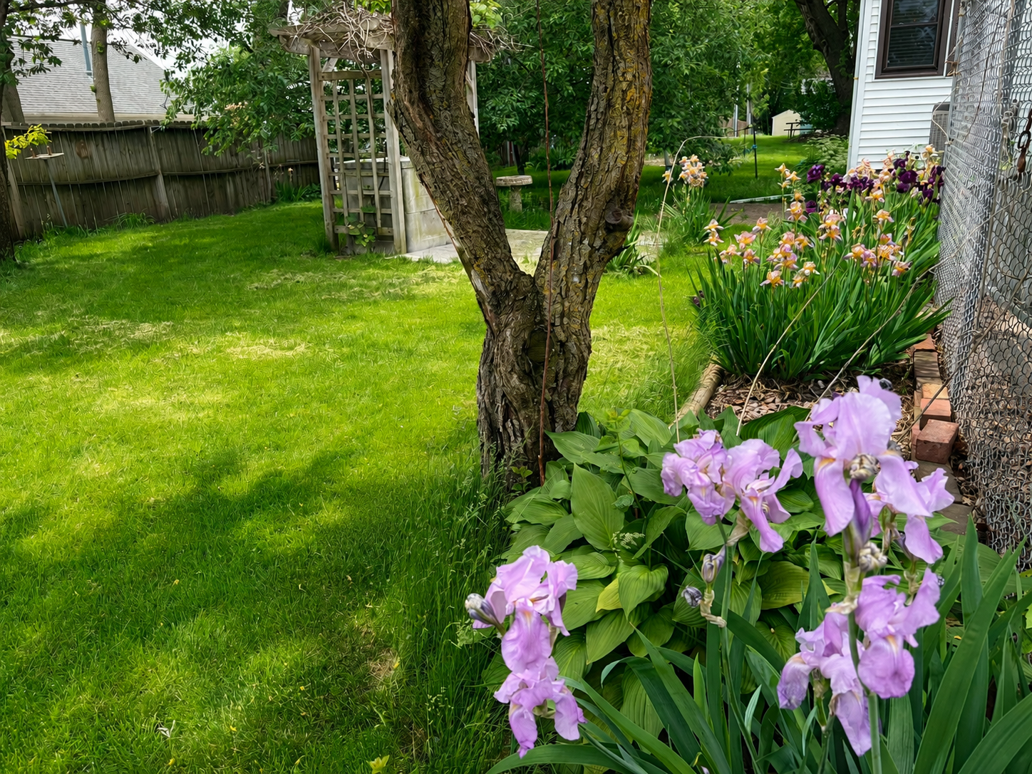main property photo 6