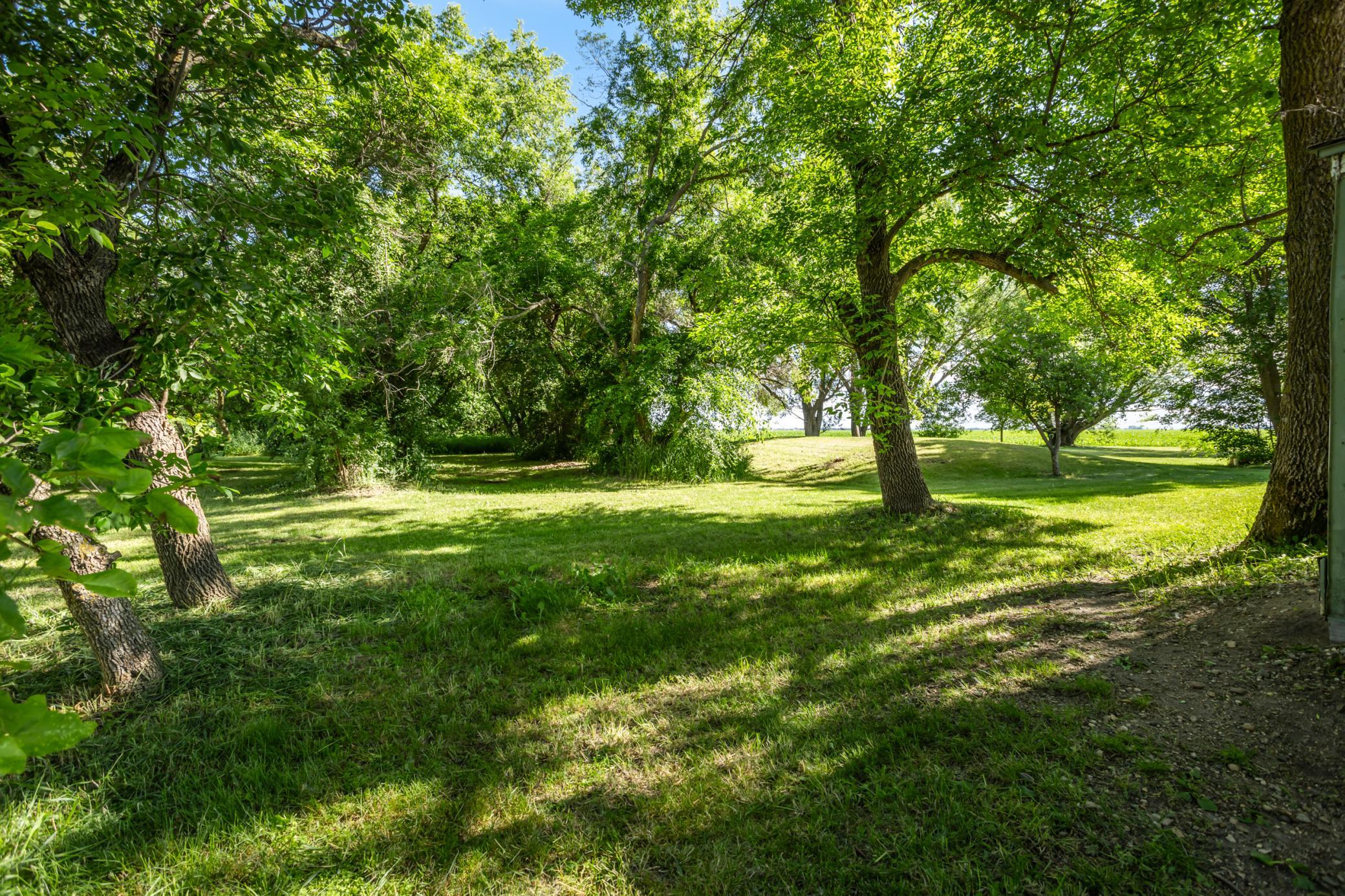 main property photo 40