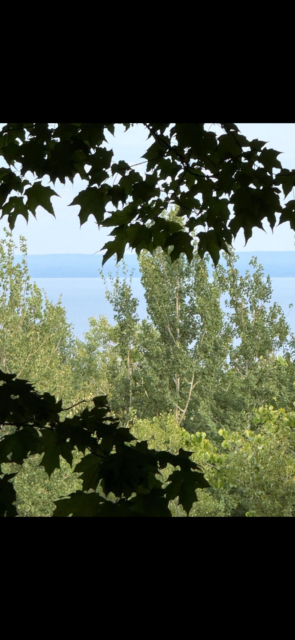 main property photo 54