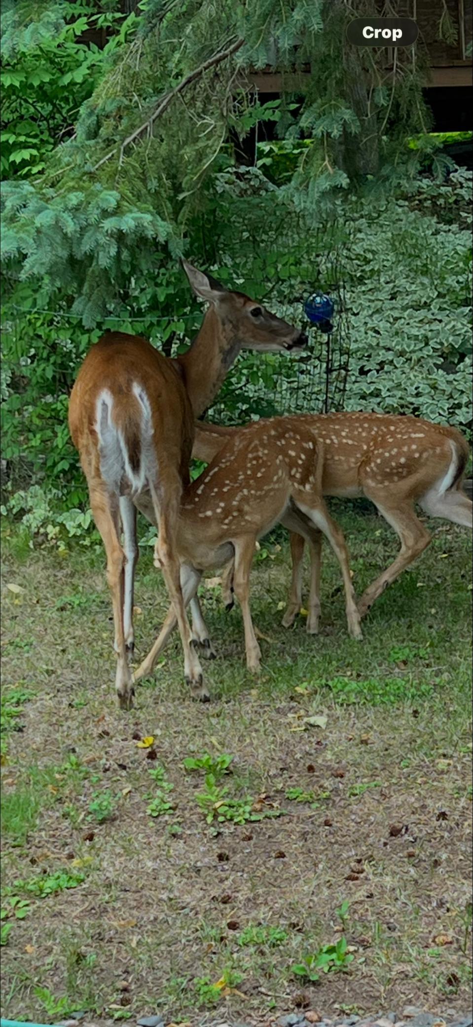main property photo 56
