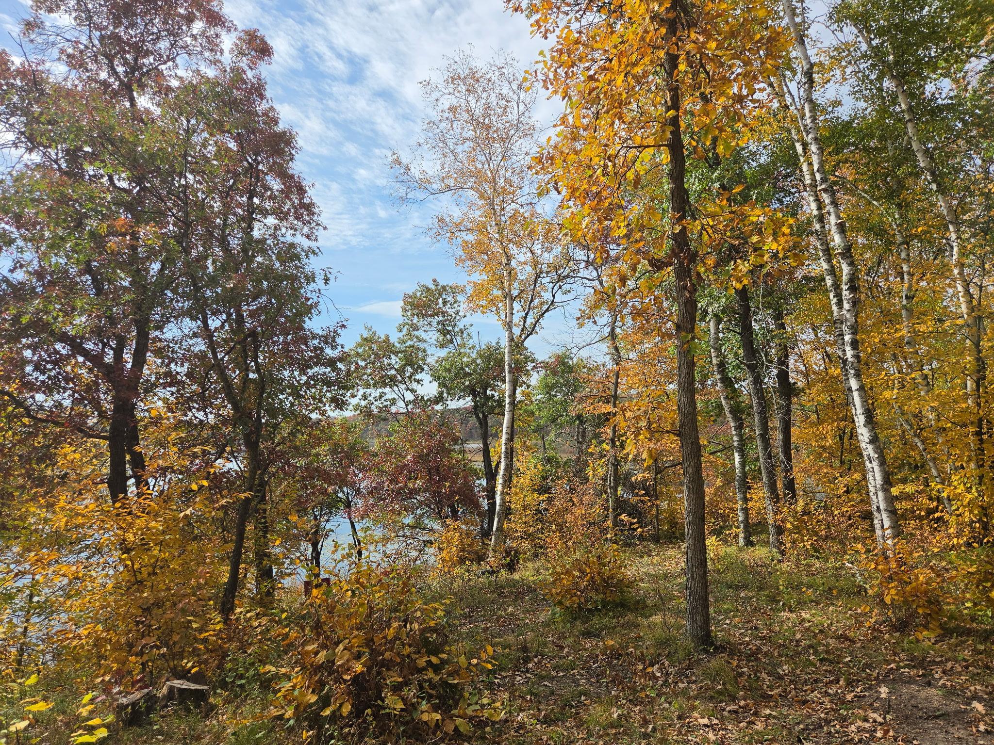 main property photo 45