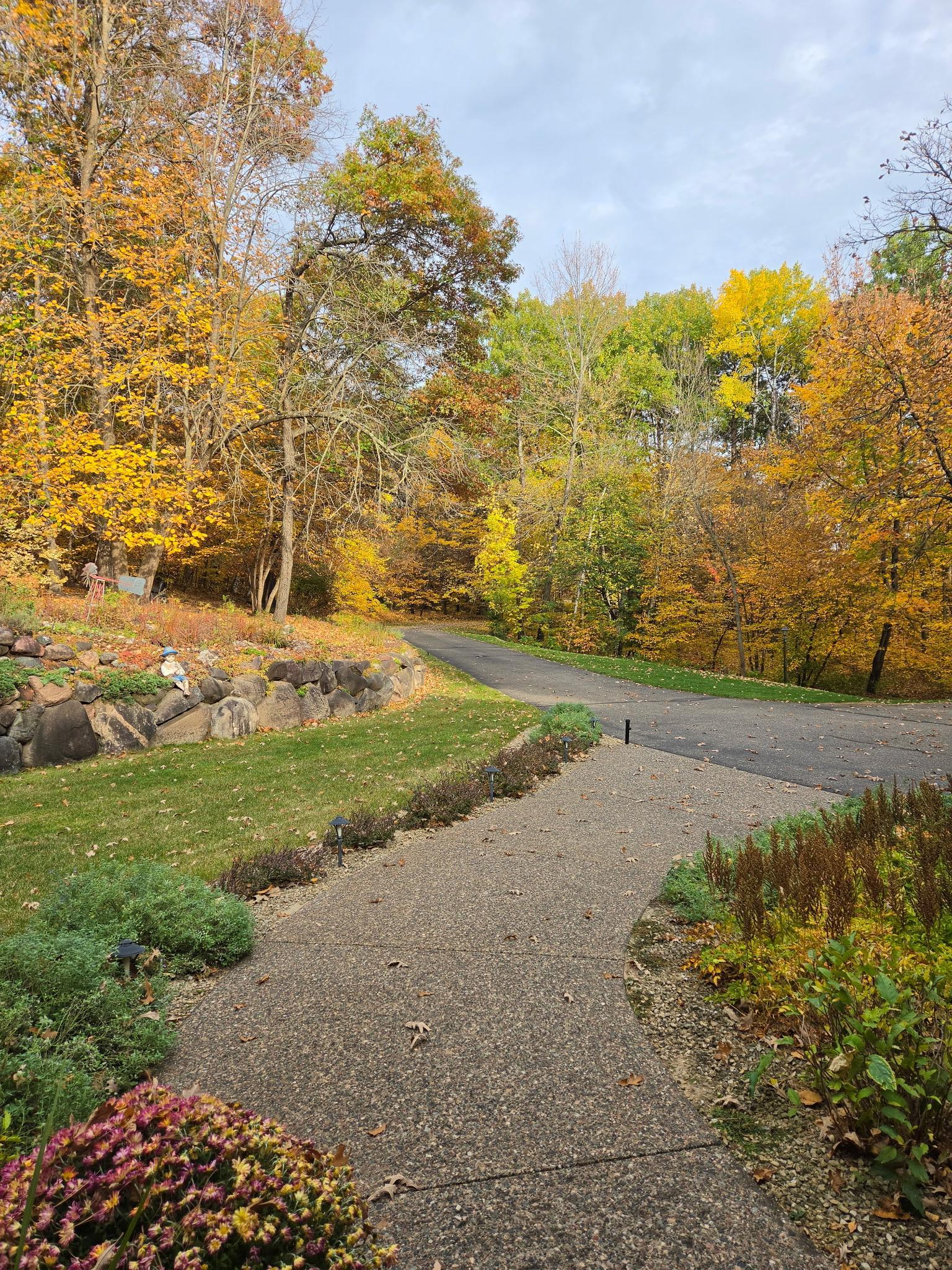 main property photo 46