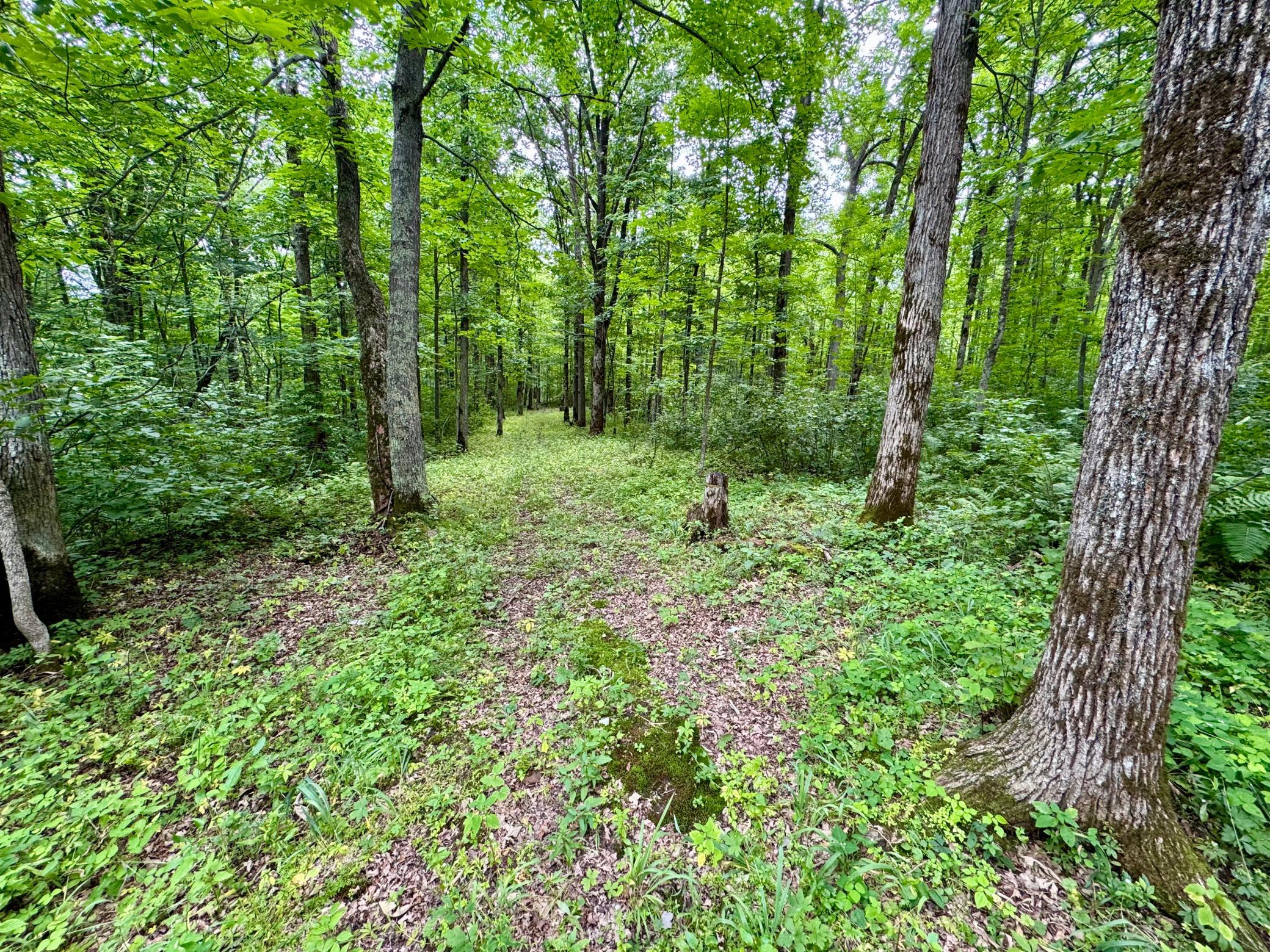 main property photo 27