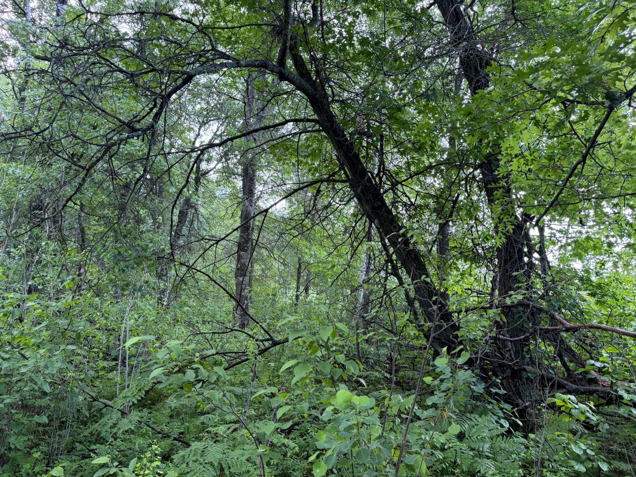 main property photo 27