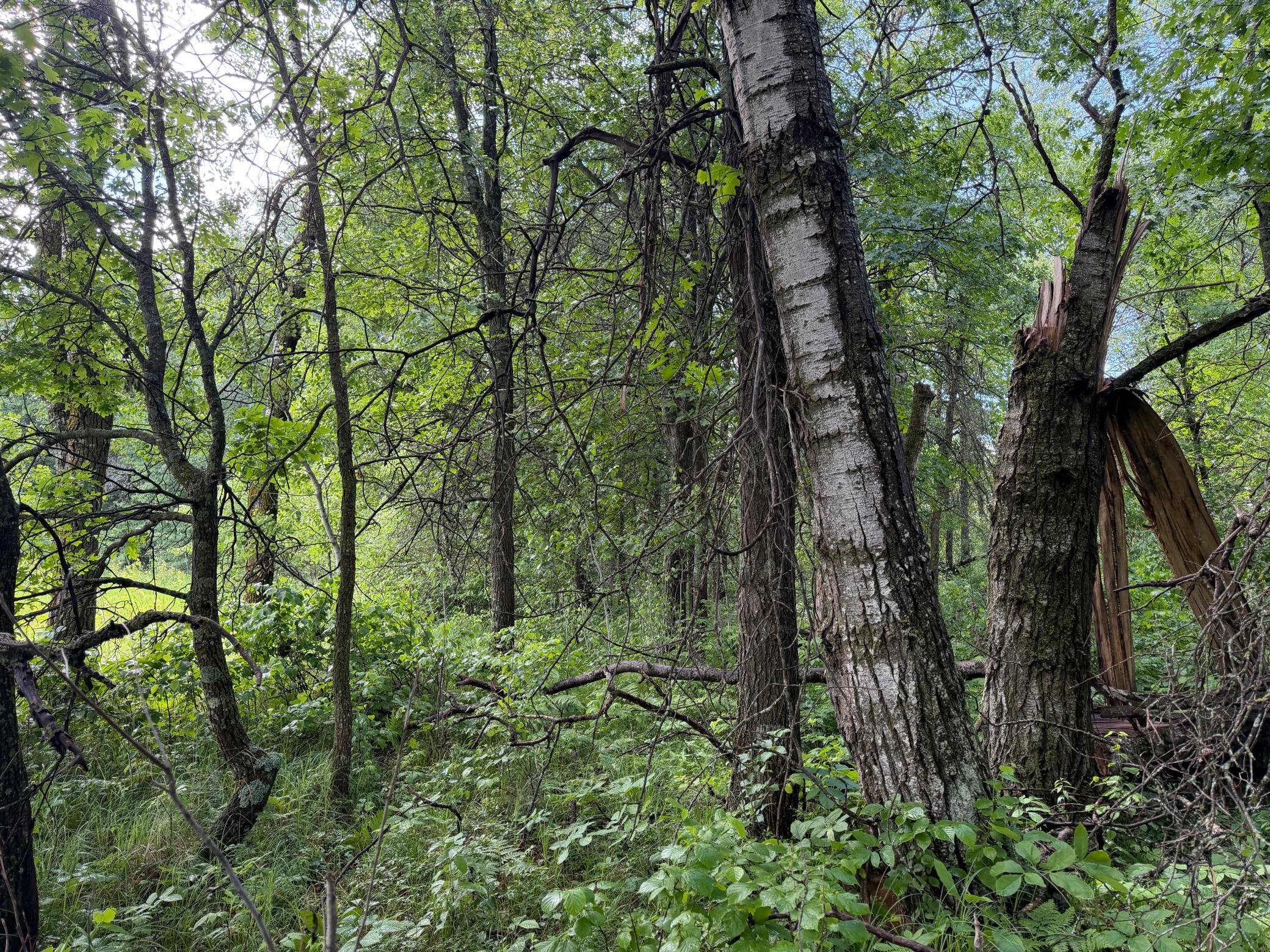 main property photo 39