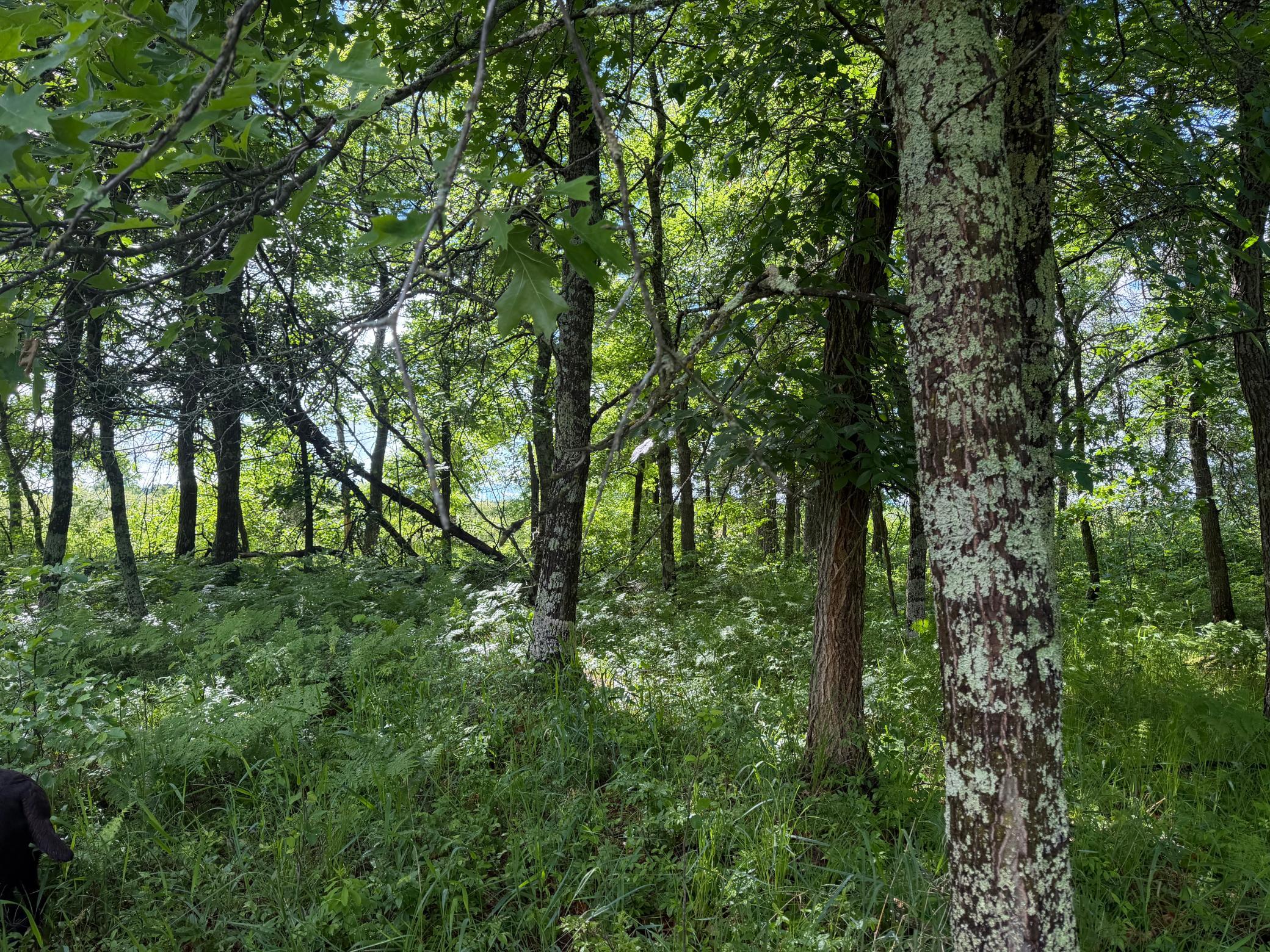 main property photo 42