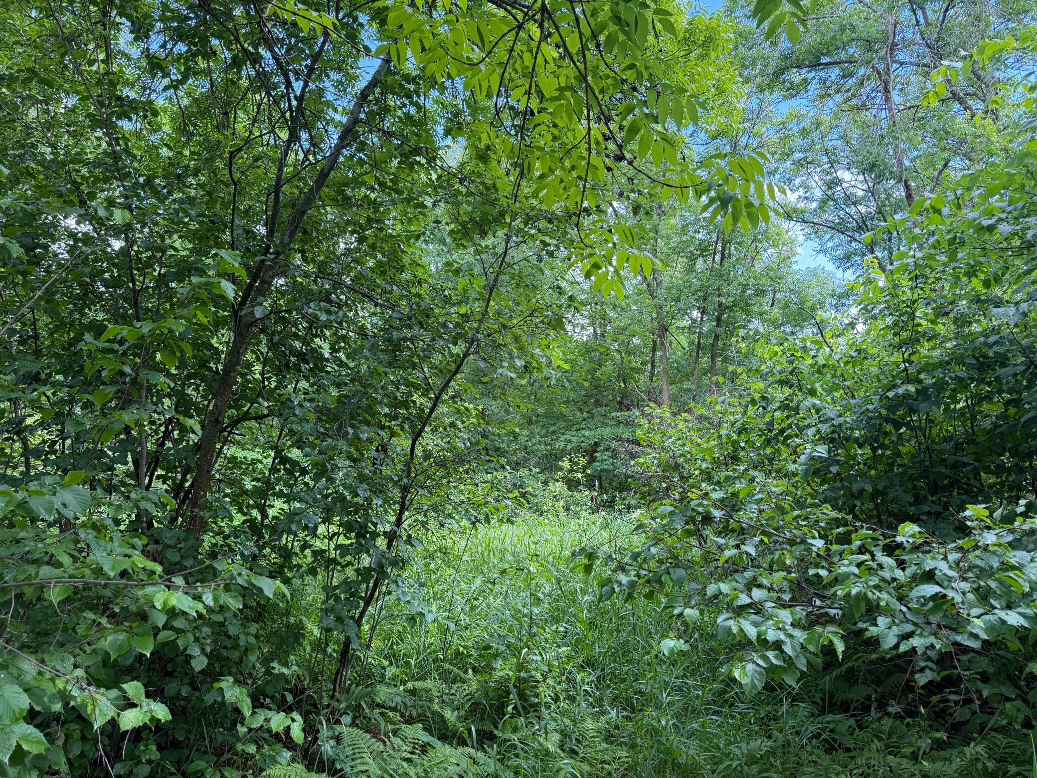 main property photo 48
