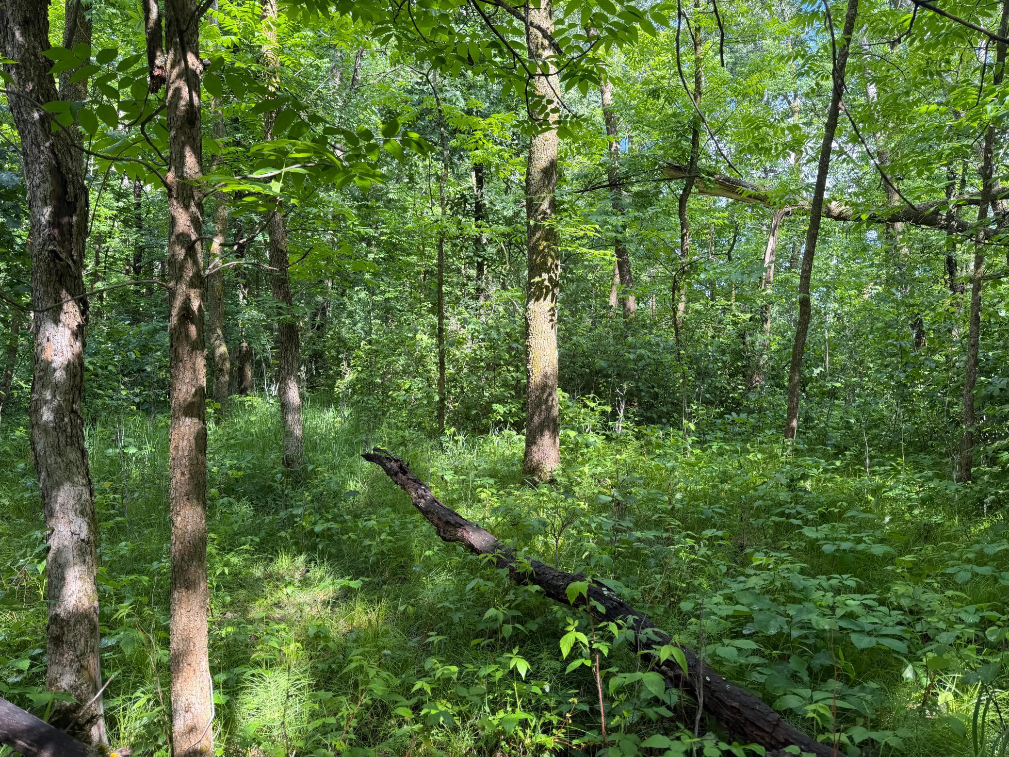 main property photo 49