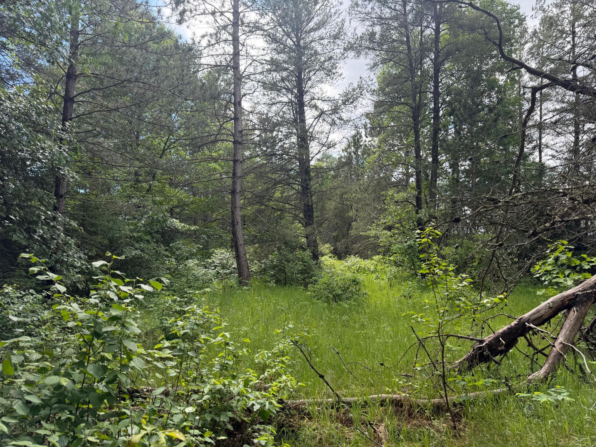 main property photo 50