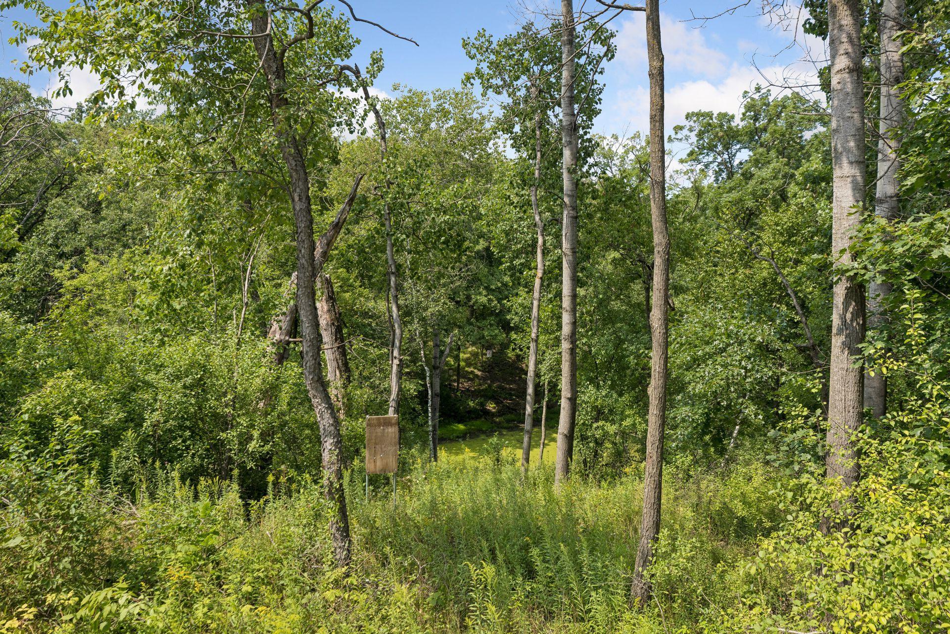 main property photo 206