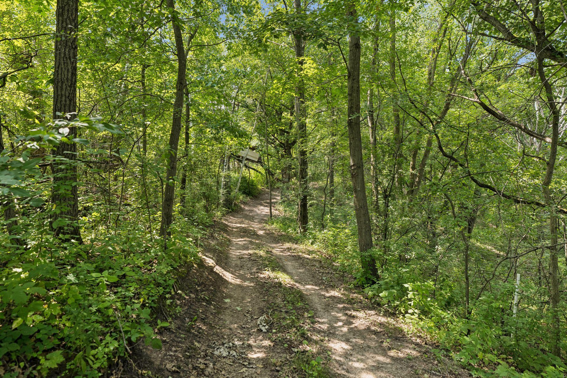 main property photo 207